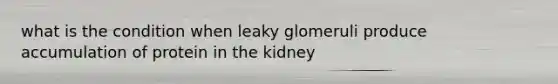 what is the condition when leaky glomeruli produce accumulation of protein in the kidney