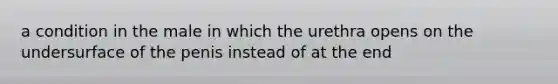 a condition in the male in which the urethra opens on the undersurface of the penis instead of at the end