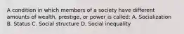 A condition in which members of a society have different amounts of wealth, prestige, or power is called: A. Socialization B. Status C. Social structure D. Social inequality