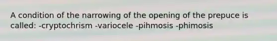 A condition of the narrowing of the opening of the prepuce is called: -cryptochrism -variocele -pihmosis -phimosis