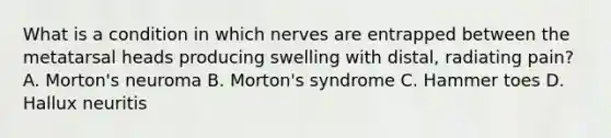 What is a condition in which nerves are entrapped between the metatarsal heads producing swelling with distal, radiating pain? A. Morton's neuroma B. Morton's syndrome C. Hammer toes D. Hallux neuritis