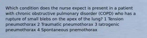 Which condition does the nurse expect is present in a patient with chronic obstructive pulmonary disorder (COPD) who has a rupture of small blebs on the apex of the lung? 1 Tension pneumothorax 2 Traumatic pneumothorax 3 Iatrogenic pneumothorax 4 Spontaneous pnemothorax