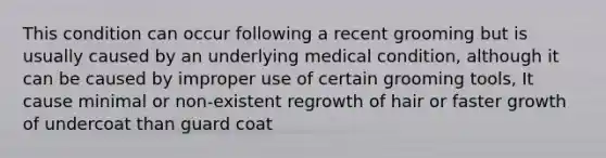 This condition can occur following a recent grooming but is usually caused by an underlying medical condition, although it can be caused by improper use of certain grooming tools, It cause minimal or non-existent regrowth of hair or faster growth of undercoat than guard coat