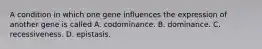 A condition in which one gene influences the expression of another gene is called A. codominance. B. dominance. C. recessiveness. D. epistasis.