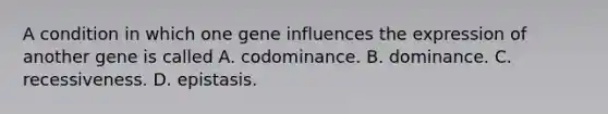 A condition in which one gene influences the expression of another gene is called A. codominance. B. dominance. C. recessiveness. D. epistasis.