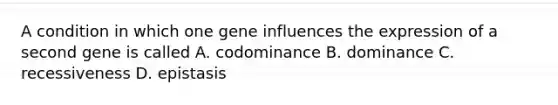 A condition in which one gene influences the expression of a second gene is called A. codominance B. dominance C. recessiveness D. epistasis