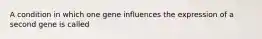 A condition in which one gene influences the expression of a second gene is called