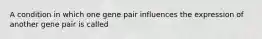 A condition in which one gene pair influences the expression of another gene pair is called