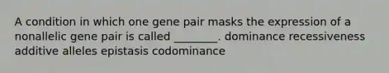 A condition in which one gene pair masks the expression of a nonallelic gene pair is called ________. dominance recessiveness additive alleles epistasis codominance