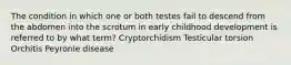 The condition in which one or both testes fail to descend from the abdomen into the scrotum in early childhood development is referred to by what term? Cryptorchidism Testicular torsion Orchitis Peyronie disease