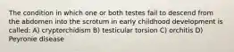 The condition in which one or both testes fail to descend from the abdomen into the scrotum in early childhood development is called: A) cryptorchidism B) testicular torsion C) orchitis D) Peyronie disease