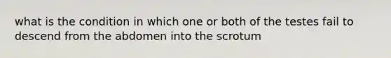 what is the condition in which one or both of the testes fail to descend from the abdomen into the scrotum