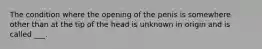 The condition where the opening of the penis is somewhere other than at the tip of the head is unknown in origin and is called ___.