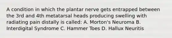 A condition in which the plantar nerve gets entrapped between the 3rd and 4th metatarsal heads producing swelling with radiating pain distally is called: A. Morton's Neuroma B. Interdigital Syndrome C. Hammer Toes D. Hallux Neuritis