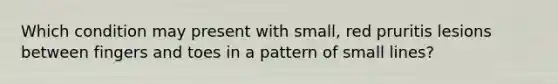 Which condition may present with small, red pruritis lesions between fingers and toes in a pattern of small lines?