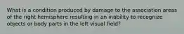 What is a condition produced by damage to the association areas of the right hemisphere resulting in an inability to recognize objects or body parts in the left visual field?