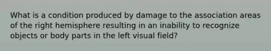 What is a condition produced by damage to the association areas of the right hemisphere resulting in an inability to recognize objects or body parts in the left visual field?