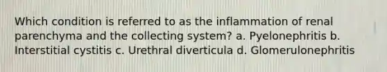 Which condition is referred to as the inflammation of renal parenchyma and the collecting system? a. Pyelonephritis b. Interstitial cystitis c. Urethral diverticula d. Glomerulonephritis