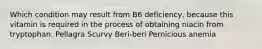 Which condition may result from B6 deficiency, because this vitamin is required in the process of obtaining niacin from tryptophan. Pellagra Scurvy Beri-beri Pernicious anemia