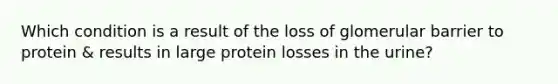 Which condition is a result of the loss of glomerular barrier to protein & results in large protein losses in the urine?