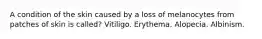 A condition of the skin caused by a loss of melanocytes from patches of skin is called? Vitiligo. Erythema. Alopecia. Albinism.