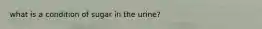 what is a condition of sugar in the urine?