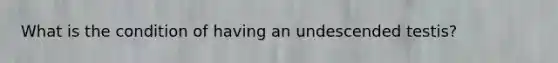 What is the condition of having an undescended testis?