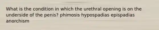 What is the condition in which the urethral opening is on the underside of the penis? phimosis hypospadias epispadias anorchism