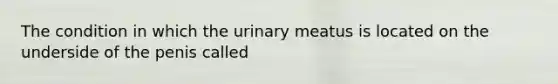 The condition in which the urinary meatus is located on the underside of the penis called