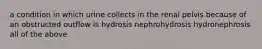 a condition in which urine collects in the renal pelvis because of an obstructed outflow is hydrosis nephrohydrosis hydronephrosis all of the above