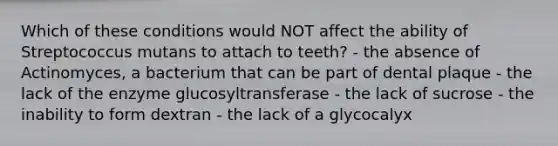 Which of these conditions would NOT affect the ability of Streptococcus mutans to attach to teeth? - the absence of Actinomyces, a bacterium that can be part of dental plaque - the lack of the enzyme glucosyltransferase - the lack of sucrose - the inability to form dextran - the lack of a glycocalyx