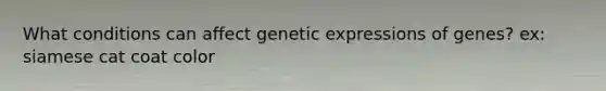 What conditions can affect genetic expressions of genes? ex: siamese cat coat color