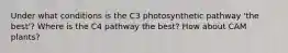 Under what conditions is the C3 photosynthetic pathway 'the best'? Where is the C4 pathway the best? How about CAM plants?