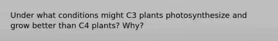 Under what conditions might C3 plants photosynthesize and grow better than C4 plants? Why?