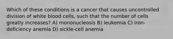 Which of these conditions is a cancer that causes uncontrolled division of white blood cells, such that the number of cells greatly increases? A) mononucleosis B) leukemia C) iron-deficiency anemia D) sickle-cell anemia