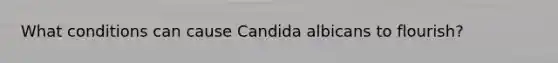 What conditions can cause Candida albicans to flourish?