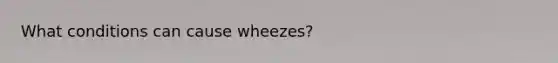 What conditions can cause wheezes?