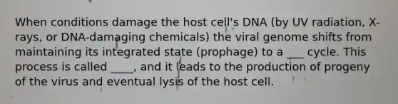 When conditions damage the host cell's DNA (by UV radiation, X-rays, or DNA-damaging chemicals) the viral genome shifts from maintaining its integrated state (prophage) to a ___ cycle. This process is called ____, and it leads to the production of progeny of the virus and eventual lysis of the host cell.