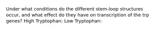 Under what conditions do the different stem-loop structures occur, and what effect do they have on transcription of the trp genes? High Tryptophan: Low Tryptophan: