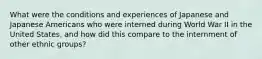 What were the conditions and experiences of Japanese and Japanese Americans who were interned during World War II in the United States, and how did this compare to the internment of other ethnic groups?