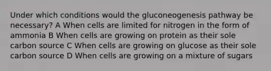 Under which conditions would the gluconeogenesis pathway be necessary? A When cells are limited for nitrogen in the form of ammonia B When cells are growing on protein as their sole carbon source C When cells are growing on glucose as their sole carbon source D When cells are growing on a mixture of sugars