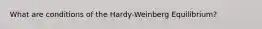 What are conditions of the Hardy-Weinberg Equilibrium?