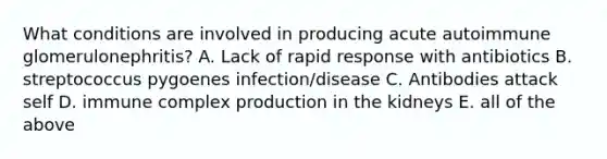 What conditions are involved in producing acute autoimmune glomerulonephritis? A. Lack of rapid response with antibiotics B. streptococcus pygoenes infection/disease C. Antibodies attack self D. immune complex production in the kidneys E. all of the above