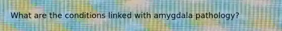 What are the conditions linked with amygdala pathology?