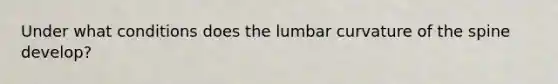 Under what conditions does the lumbar curvature of the spine develop?