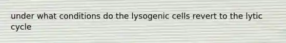 under what conditions do the lysogenic cells revert to the lytic cycle