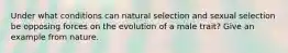 Under what conditions can natural selection and sexual selection be opposing forces on the evolution of a male trait? Give an example from nature.