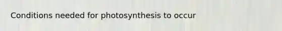 Conditions needed for photosynthesis to occur