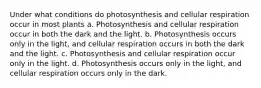 Under what conditions do photosynthesis and cellular respiration occur in most plants a. Photosynthesis and cellular respiration occur in both the dark and the light. b. Photosynthesis occurs only in the light, and cellular respiration occurs in both the dark and the light. c. Photosynthesis and cellular respiration occur only in the light. d. Photosynthesis occurs only in the light, and cellular respiration occurs only in the dark.