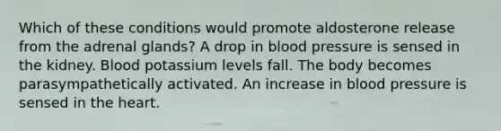 Which of these conditions would promote aldosterone release from the adrenal glands? A drop in <a href='https://www.questionai.com/knowledge/kD0HacyPBr-blood-pressure' class='anchor-knowledge'>blood pressure</a> is sensed in the kidney. Blood potassium levels fall. The body becomes parasympathetically activated. An increase in blood pressure is sensed in <a href='https://www.questionai.com/knowledge/kya8ocqc6o-the-heart' class='anchor-knowledge'>the heart</a>.